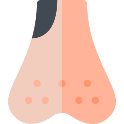 Testicular icon