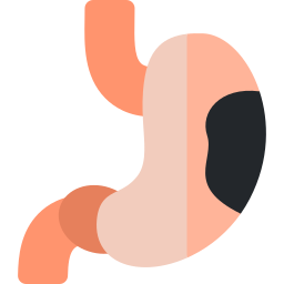 Stomach icon