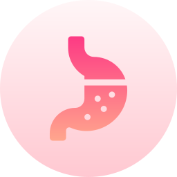 Stomach icon