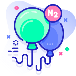 n2 icon