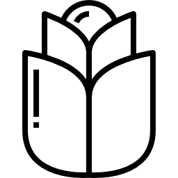 キャベツ icon