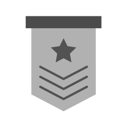 Military icon