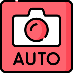 Auto icon