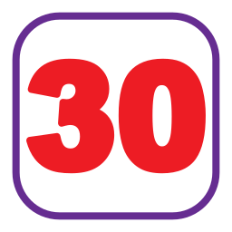 30 icon