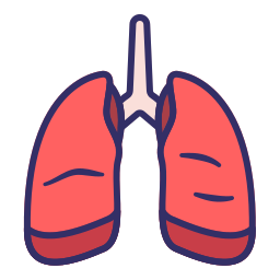 pulmones icono