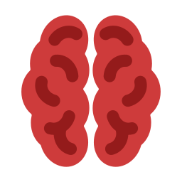 Brain organ icon