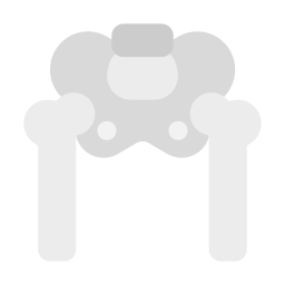 estructura osea icono