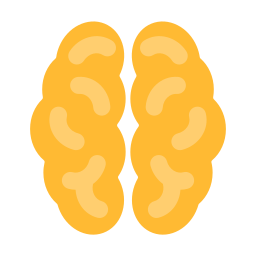 Brain organ icon