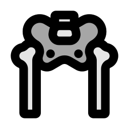 뼈 구조 icon