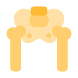 Bone structure icon
