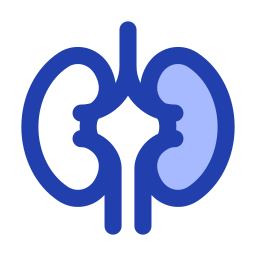 Kidney icon