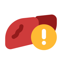 Liver disease icon