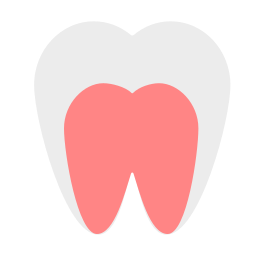 molar icono