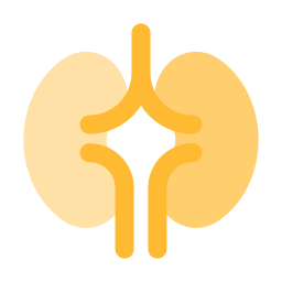 Kidney icon