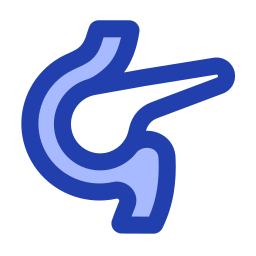 Pancreas icon