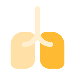 Lung icon