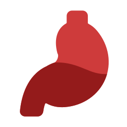 Stomach icon