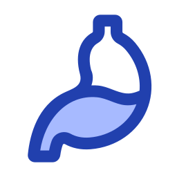 Stomach icon