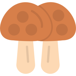 Mushroom icon