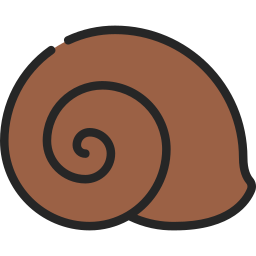 Shell icon