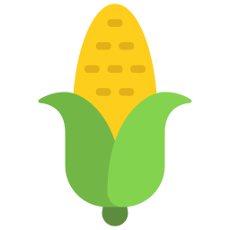maïs Icône
