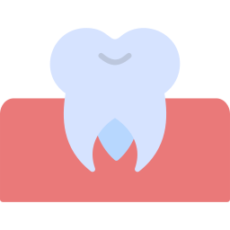 Molar icon