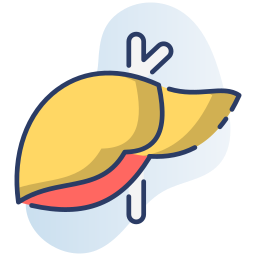 Liver icon