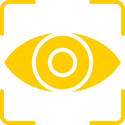 Vision icon