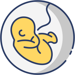 feto icona