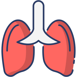 pulmones icono