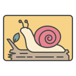 caracol icono