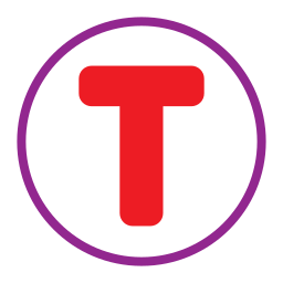 Letter t icon