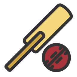 cricket bat icoon