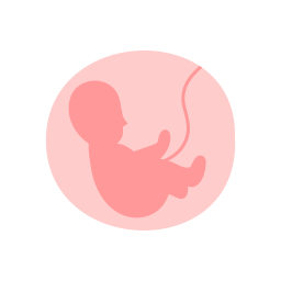 fœtus Icône