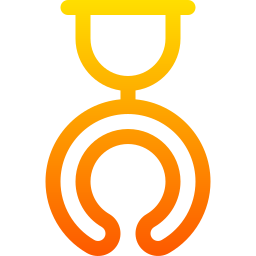 보유자 icon