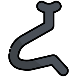 pallava-mudra icon