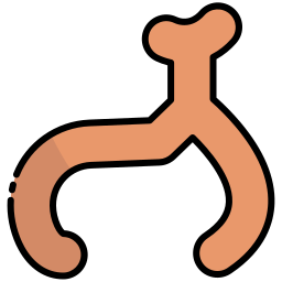 pallava mudra icono