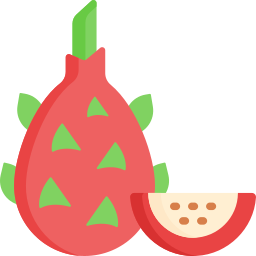 Dragon fruit icon