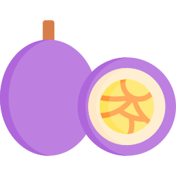 Passion fruit icon