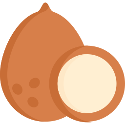 Coconut icon