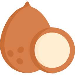 noix de coco Icône