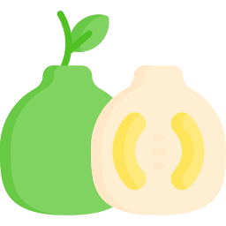 pomelo icono