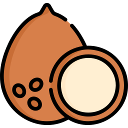 noce di cocco icona