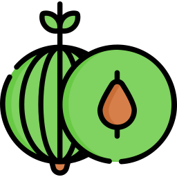 Gooseberry icon