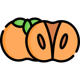 Persimmon icon