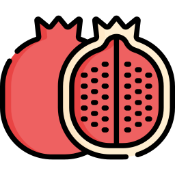 Pomegranate icon