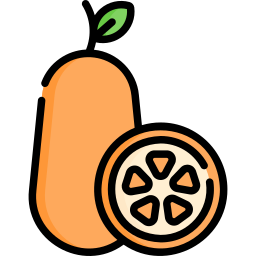 kumquat icoon