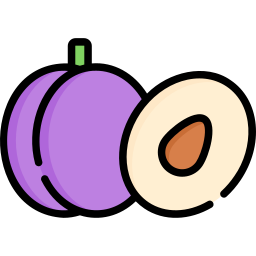 Plum icon