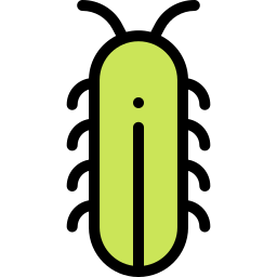 Bug icon