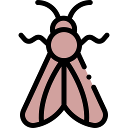 polilla icono